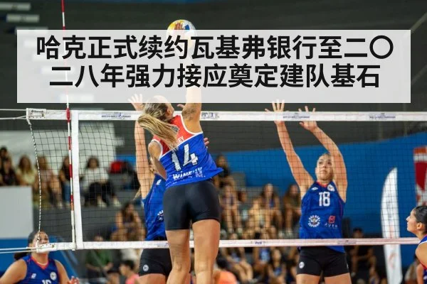 哈克正式续约瓦基弗银行至二〇二八年强力接应奠定建队基石